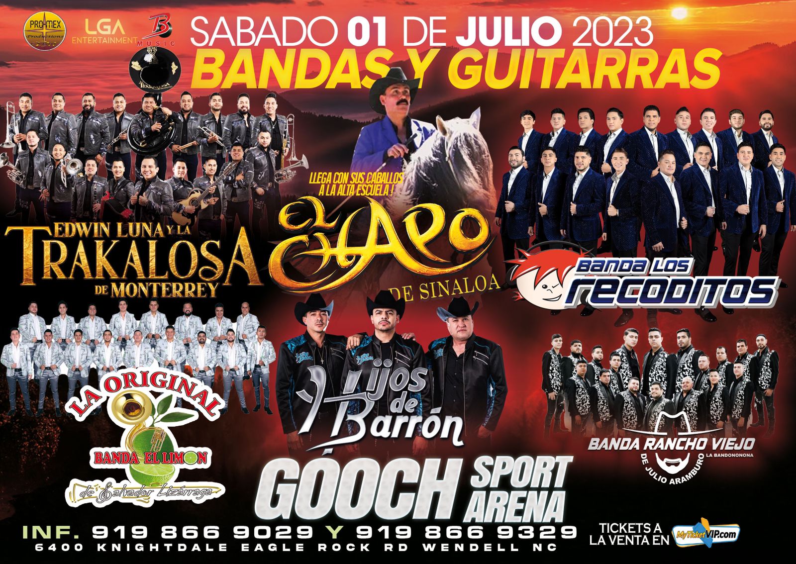 BANDA Y GUITARRAS