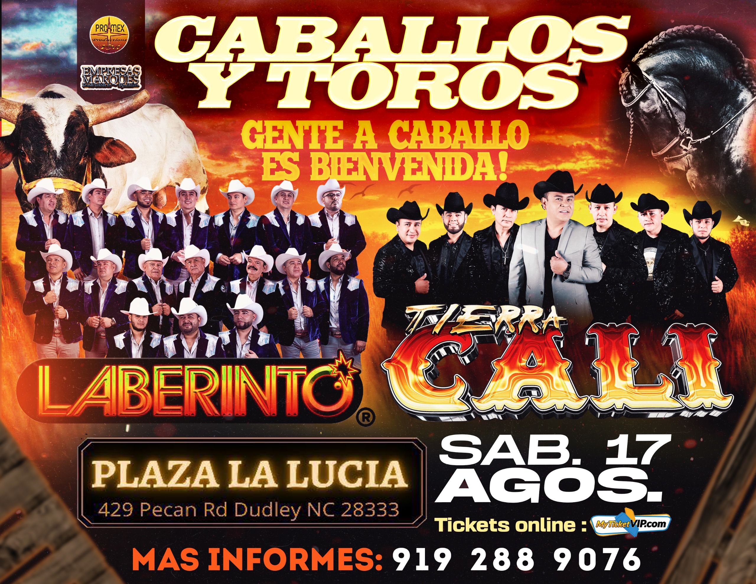CABALLOS Y TOROS